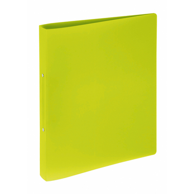 PAGNA Classif. ad annelli 33mm A4 20900-17 verde PP 2 annelli