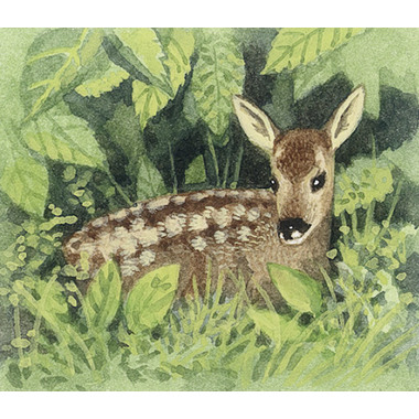 COPPENRATH Calendario da parete 70003 animale in inverno