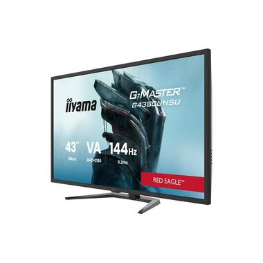 iiyama Monitor G-MASTER G4380UHSU-B2