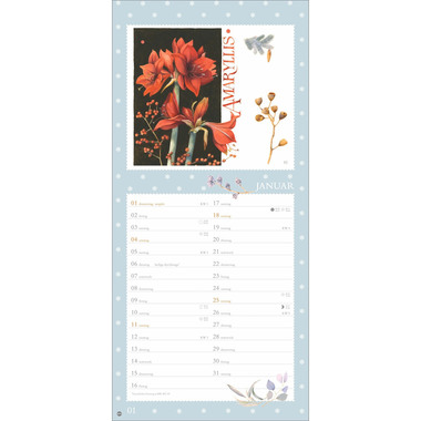 HEYE Monatsplaner 2026 1402+26 Bastin Wunder Natur 21x45cm