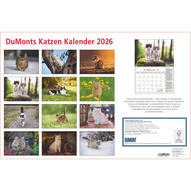DUMONT Calendario 2026 260621 Gatti TE 42x29cm