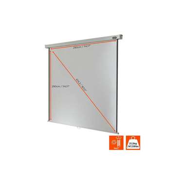 Celexon Rollo-Leinwand Pro 290x290 cm 1:1