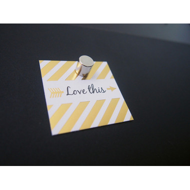 MAUL Neodym-Zylindermagnet10x10 6166896 mm 4 kg Haftkraft, 4 St./Set