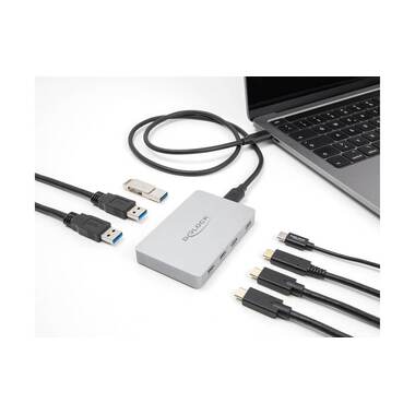 Delock USB-Hub 64279 7x Porta USB Hub