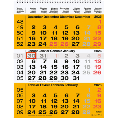 BIELLA 3-Monatskalender Wire-O 2026 889020200026U 3M/1S gelb ML 31x40cm