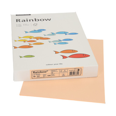 RAINBOW Papier lachs/40 A4 88042498 FSC, 80g 500 Blatt
