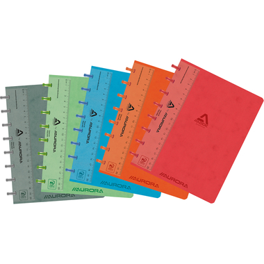 ADOC Cahier à anneaux LIN-EX A5 3884.74 assorti, quadrillé 144 pages