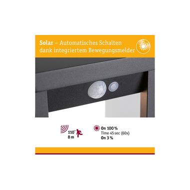 Paulmann Solar LED Light Object Marisol IP44 3000K 350 lm Black