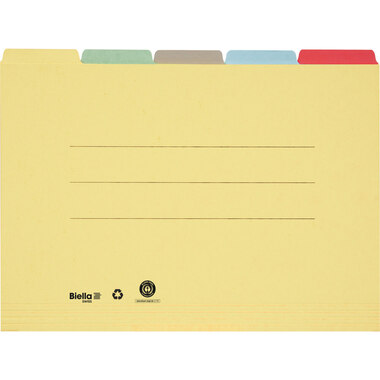 BIELLA Registermappe A4 32543200U farbig assort., 190 Bl. 5 Stk.