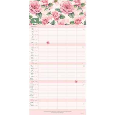 ALPHA EDITION Familienplaner Floral 2026 360400 1M/1S ML 5 Spalten 22x45cm