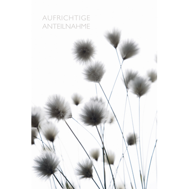 ABC Carte condoléances B6 51950 Fleurs noires