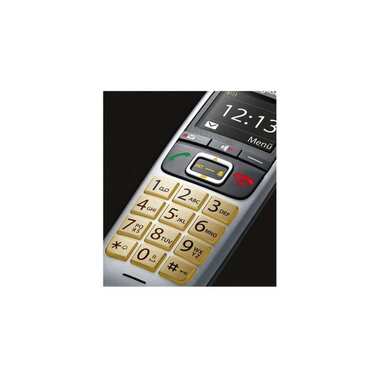 Gigaset Téléphone sans fil E560 Noir/Argenté