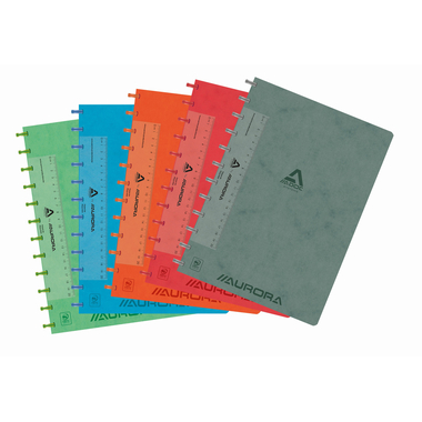 ADOC Ringbuch LIN-EX A4 6811.744 assortiert, liniert 144 Seiten