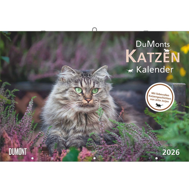 DUMONT Bildkalender 2026 260621 Katzen DE 42x29cm