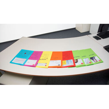 ELCO Organisationsmappe Ordo A4 29488.00 classico, assortiert 100 Stück