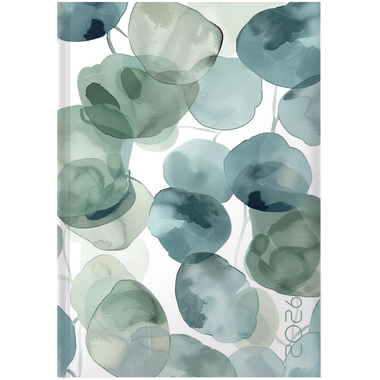 BIELLA Agenda Execut 2026 806513730026U 1J/1P Eucalyptus 14.5x20.5cm