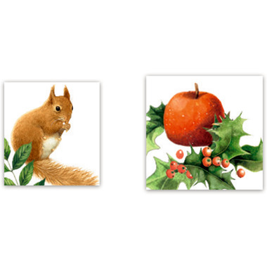 COPPENRATH Calendrier de l'Avent A5 95283 magie de la nature hivernale