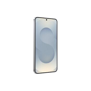 Samsung Galaxy S25 128 GB Silver Shadow