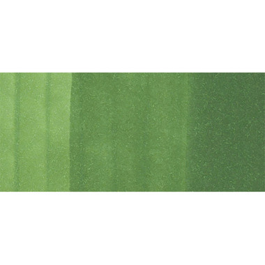 COPIC Marker Classic 20075205 YG67 - Moss