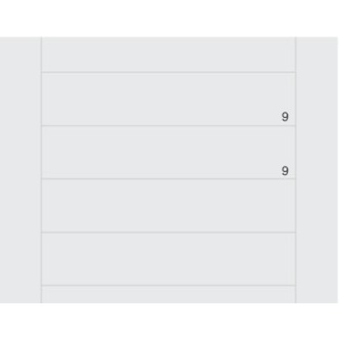 INGOLD-BIWA Carnet E5 02.9220.91 blanc, 80g, 9mm lign. 25 pcs.