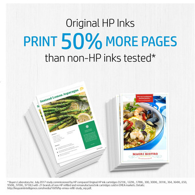 HP Advanced Photo Paper 10 Blatt 49V51A Gloss 4x12in/10x30,5cm