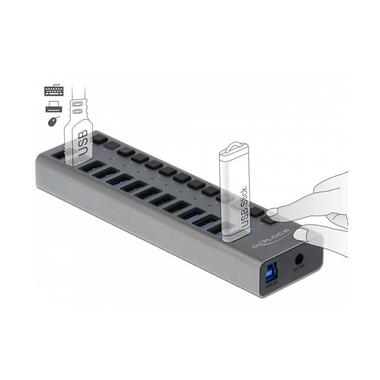 Delock USB-Hub 63738 USB 3.0 - 13x Type-A