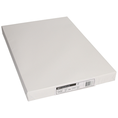 SKY Premium Carta A3 88233203 120g, bianco 250 fogli