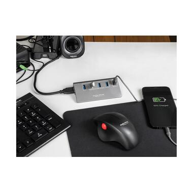 Delock USB-Hub 64182 USB 10 Gbps - 4x USB-A / 1x Schnellladeport