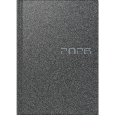 RIDOIDE Mentor Reflection 2026 7026013906.26 1T/1S grau ML 14.8x20.8cm