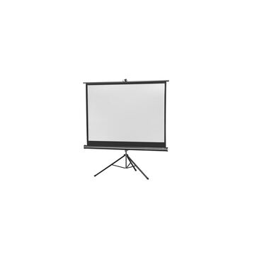 Celexon Tripod Screen Eco 244x183cm 4:3