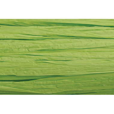 KNORR PRANDELL Rabane 30m 8533042 vert pâle mat