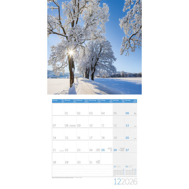 ACKERMANN Bildkalender 2026 4604 Traumpfade ML 30x30cm