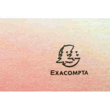 EXACOMPTA Raccoglitore ad anelli A4 85430E Candy Tidy 40 sacchetti