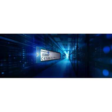 Kingston SSD DC2000B M.2 2280 NVMe 960 GB