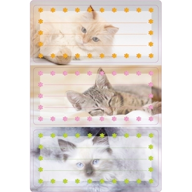 HERMA Etiquettes école 5569 sujet 6 pcs.