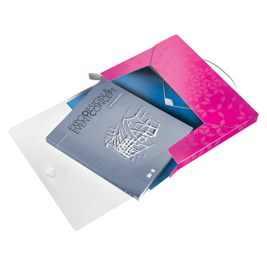 LEITZ Scatola archivio WOW PP 46290023 pink 250x330x37mm