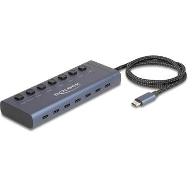 Delock USB 5 Gbps Hub