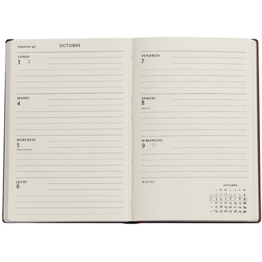 PAPERBLANKS Agenda Iris Van Gogh 2026 DF0890-4 1S/2P HOR Mini HC FR 9.5x14cm