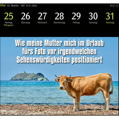 HARENBERG Cal. de cartes postales 2026 3310183+26 Animal Memes 16x17.5cm