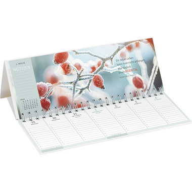 ARS EDITION Calendrier de table 2026 13572 Lieblingstag DE 29.7x11.5cm