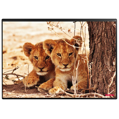 KOLMA Sottomano 35.550.20 Lion 50x34cm