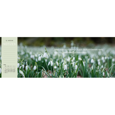 ARS EDITION Calendrier de table 2026 13572 Lieblingstag DE 29.7x11.5cm