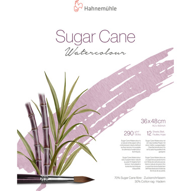 HAHNEMÜHLE Aquarellbl. SugarCane 36x48cm 10625423 weiss, 290g 12 Blatt