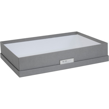 BIGSO BOX OF SWEDEN Aufbewahrungsbox Sverker 934154141 grau 43.5x31x8.5cm