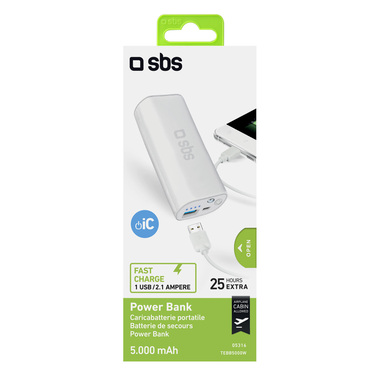 Portable charger with torch
