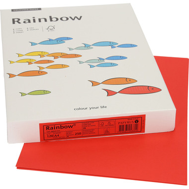 RAINBOW Papier intensivrot/28 A4 88043104 FSC, 120g 250 Blatt