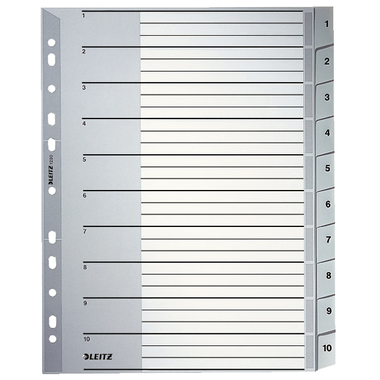 LEITZ Register PP A4+ 12800000 grau 1-10