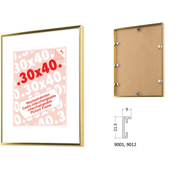 DEBEX Wechselrahmen 18×24cm 901201-180X2 Alu gold