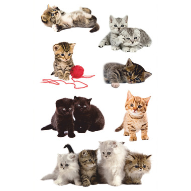 Z-DESIGN Sticker Creative 55971 Gattini 21 pezzi/3 fogli