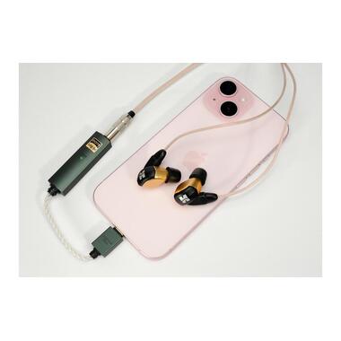 iFi Audio Amplificateur de casque & USB-DAC GO link Max